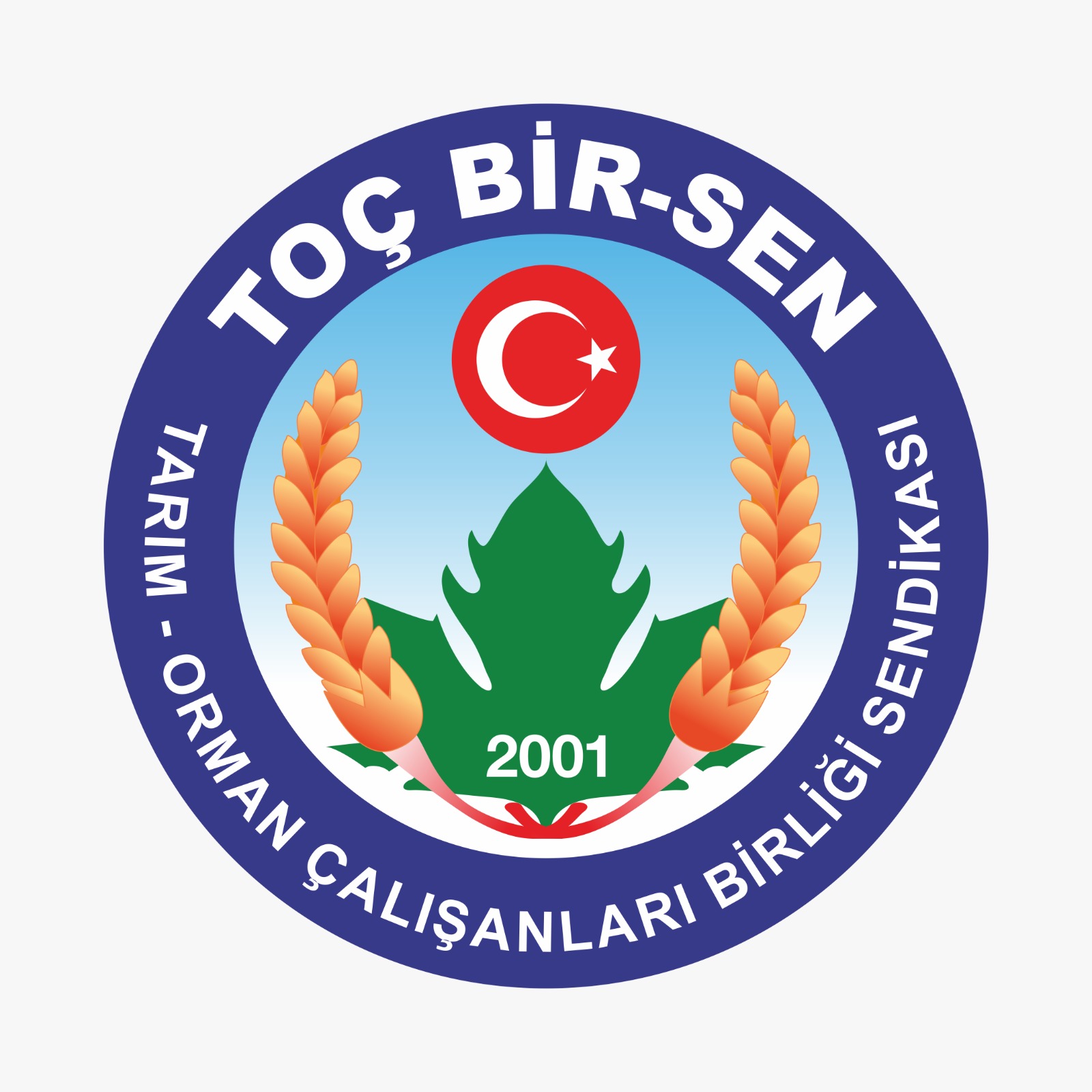 TARIM - ORMAN ÇALIŞANLARI BİRLİĞİ SENDİKASI | Konya STK'lar